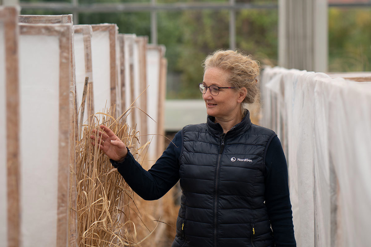 Lise Lykke Steffensen